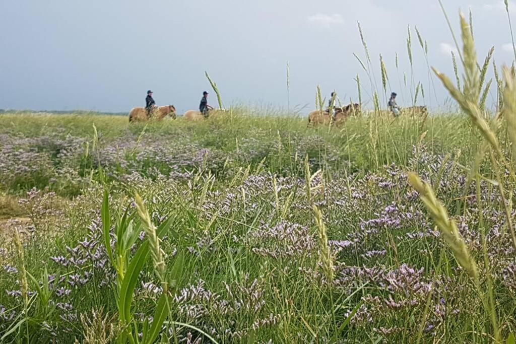 La Cabane Des Dunes A Fort-Mahon Plage Zewnętrze zdjęcie