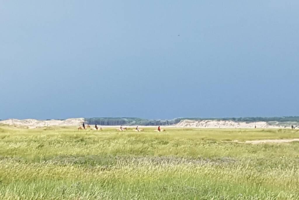 La Cabane Des Dunes A Fort-Mahon Plage Zewnętrze zdjęcie