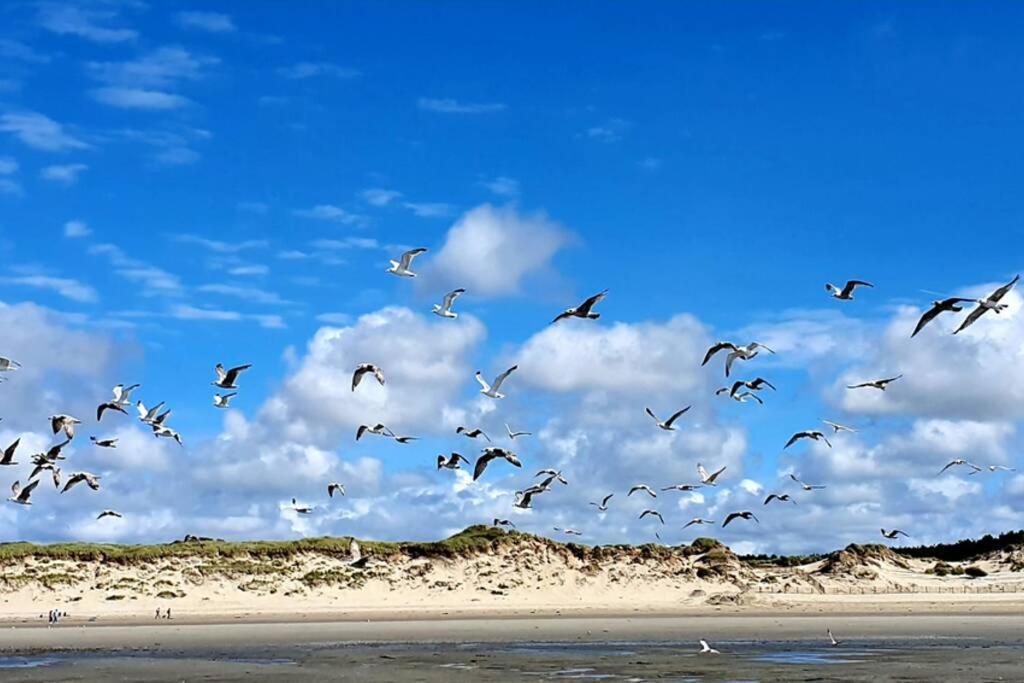 La Cabane Des Dunes A Fort-Mahon Plage Zewnętrze zdjęcie